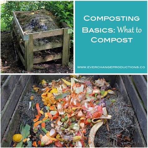 Witchcraft potting compost